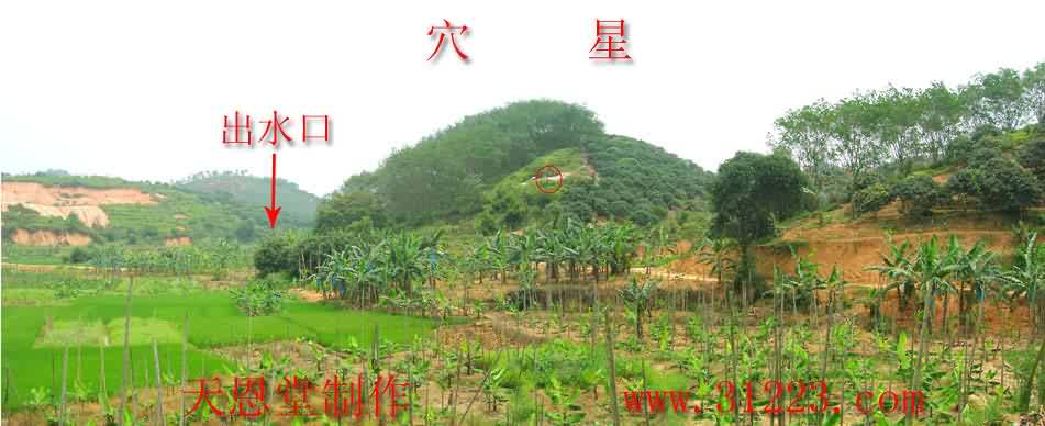 穴星1.jpg