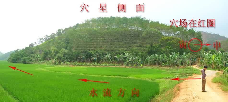 穴星2.jpg