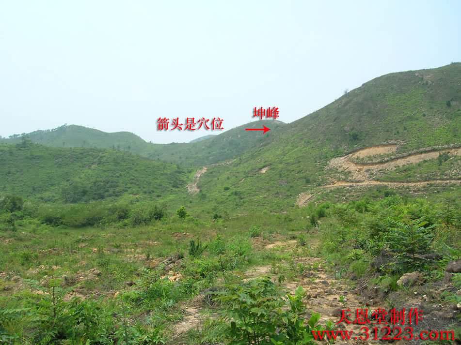 穴星2.jpg