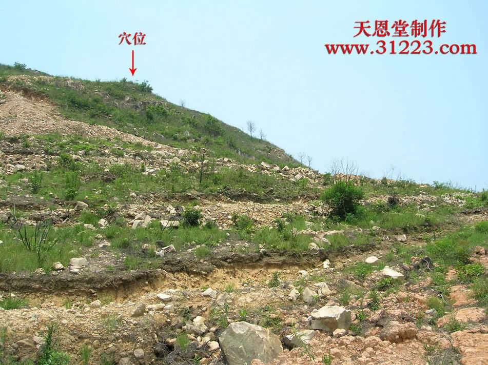 穴星3.jpg