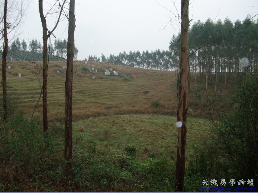 abbr_（癸未年）季冬立乾山巽向。发丁千百，贵到县官，富至几百万。.jpg