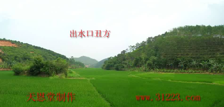 穴星右后水口.jpg