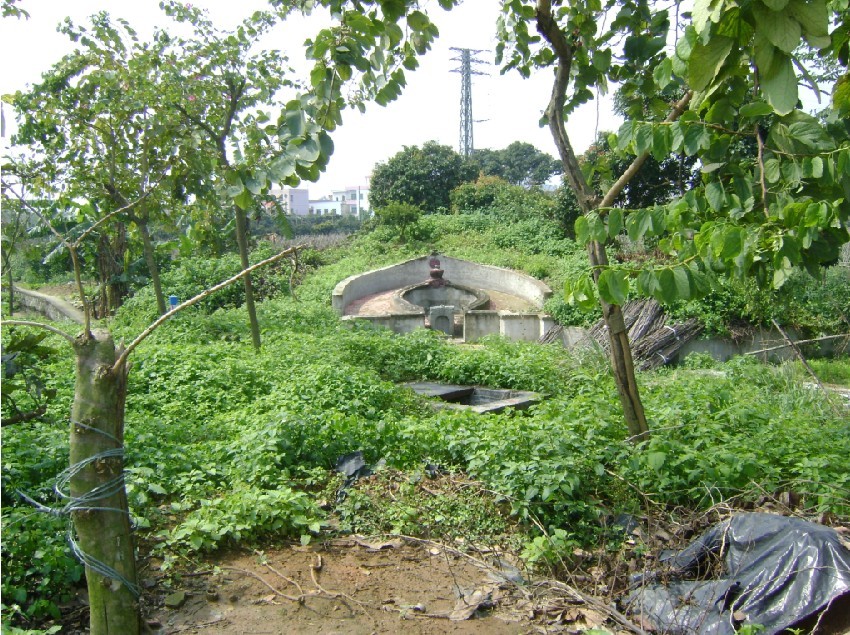申兼庚古坟，左水倒右.jpg