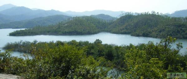 白虎.jpg