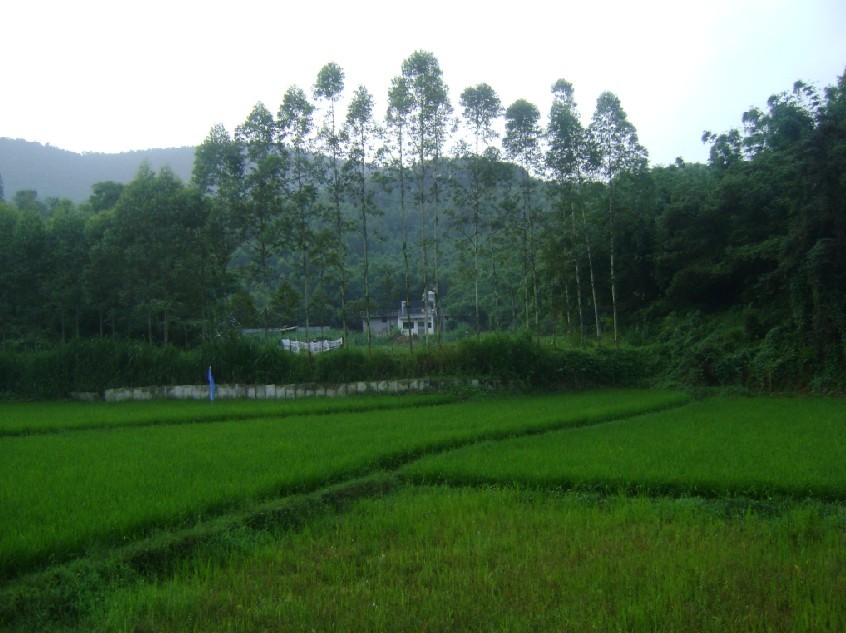 白虎边看入首.jpg