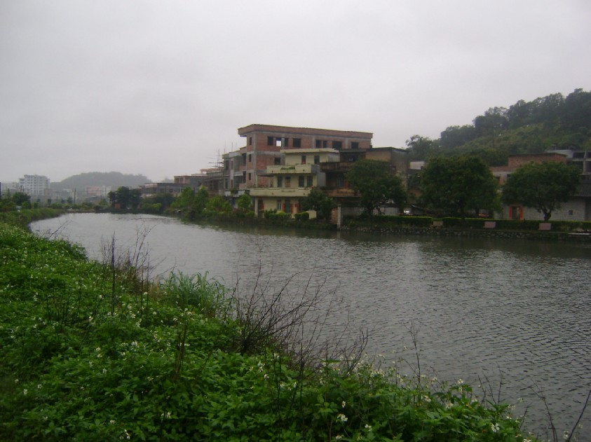 白虎1.jpg