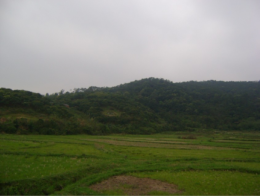 白虎1.jpg