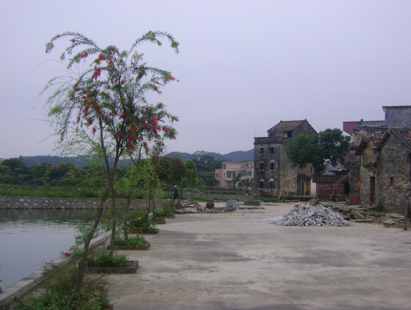 白虎1.jpg