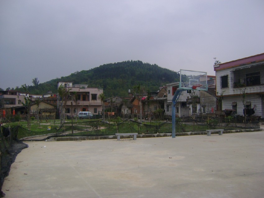 白虎2.jpg