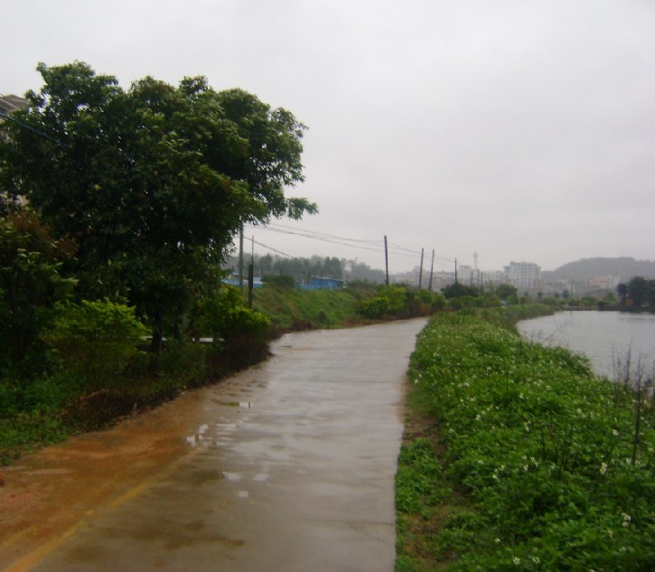 白虎2.jpg