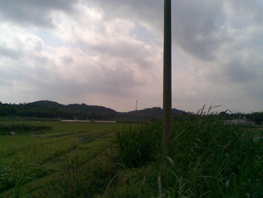 白虎3.jpg