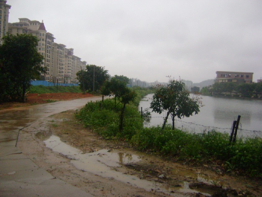 白虎3.jpg