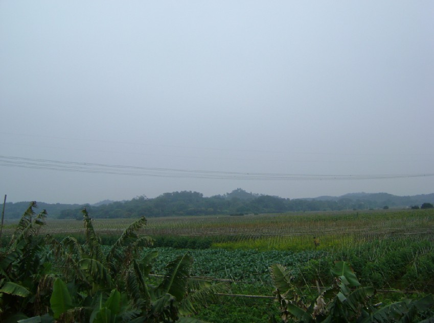 白虎3.jpg