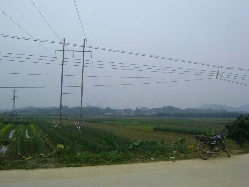 白虎6.jpg