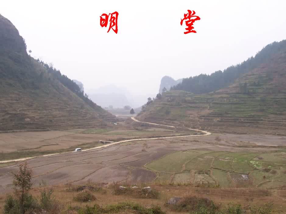 向上.jpg