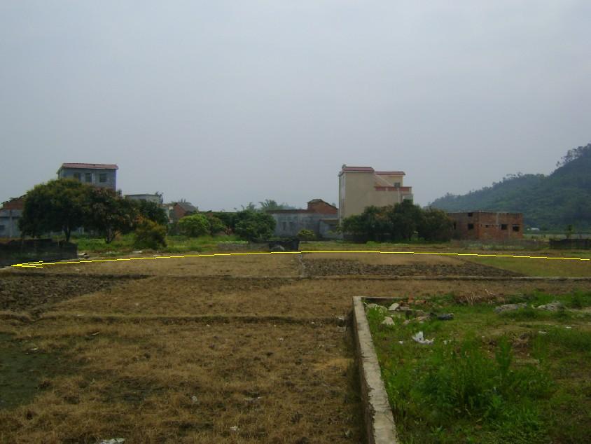 向上.jpg