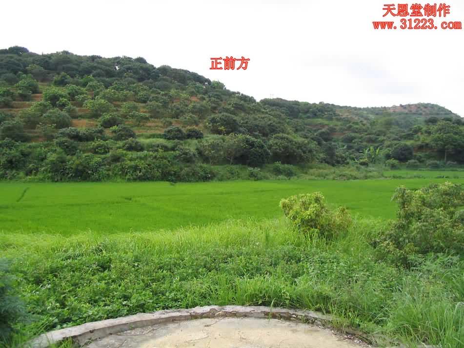 向上.jpg