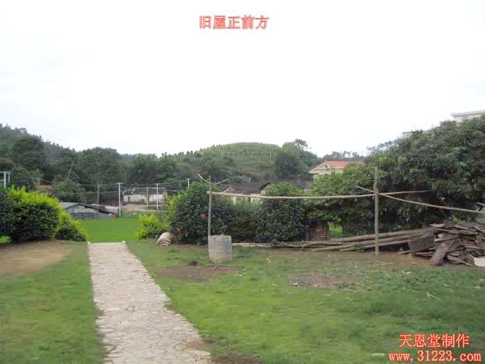 向上.jpg