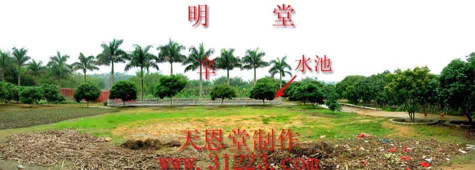 向上.jpg