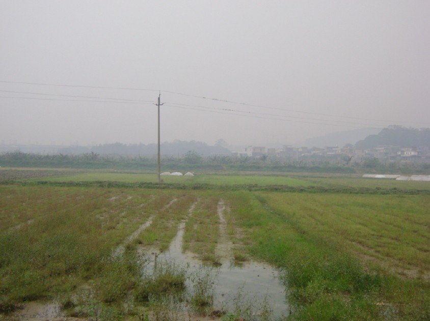 向上.jpg
