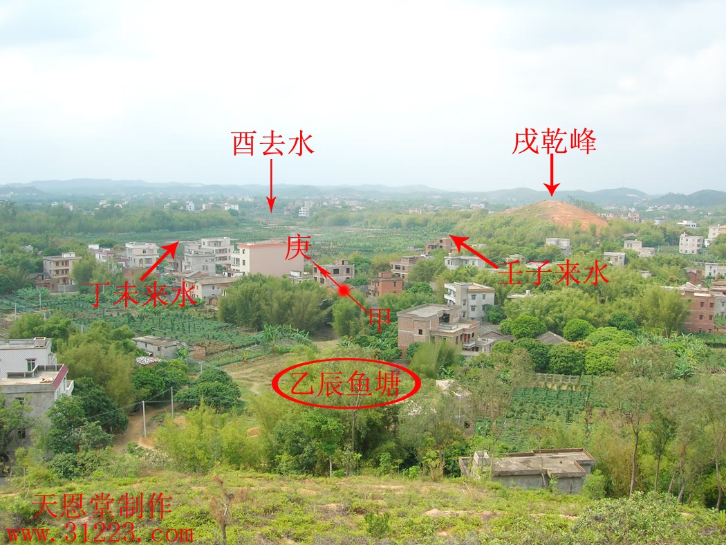 向上2.jpg