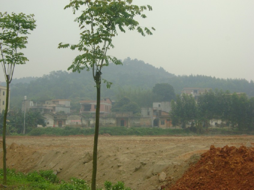 后龙山.jpg