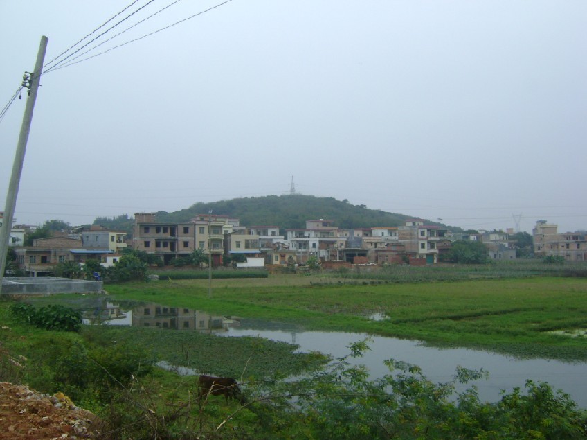 后龙山.jpg