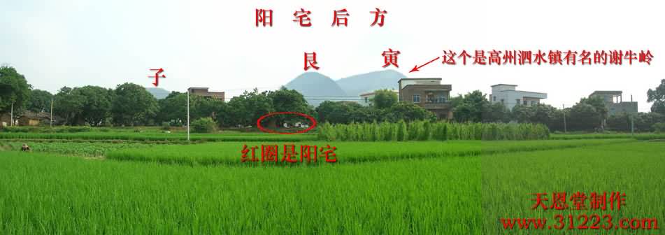 后龙.jpg