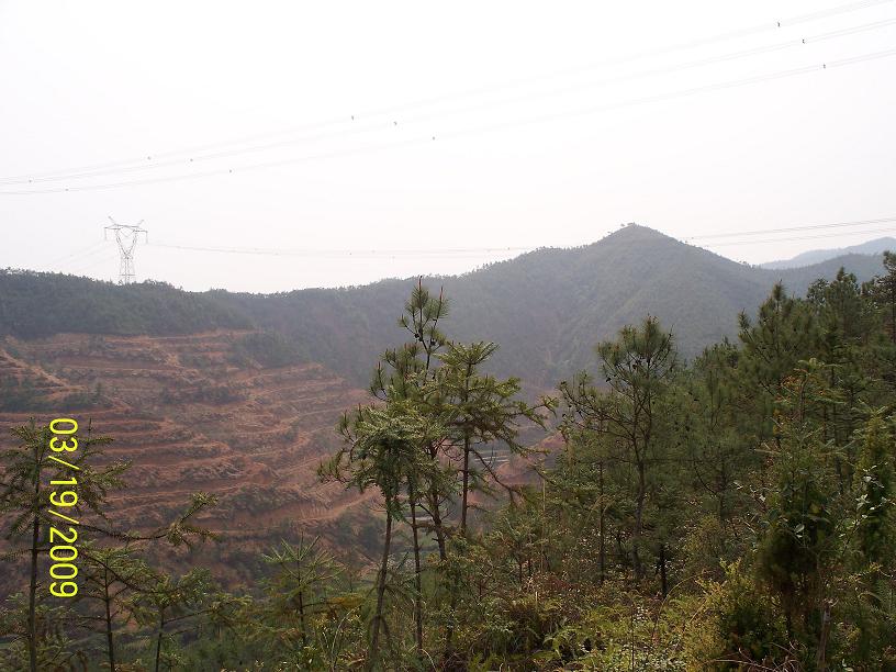 西坑行 010.jpg