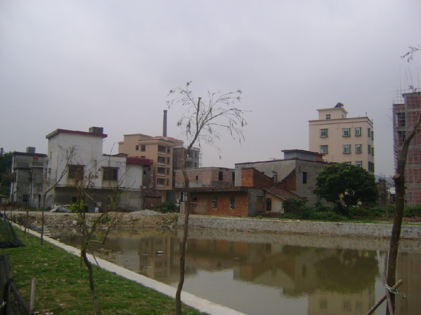 青龙3.jpg