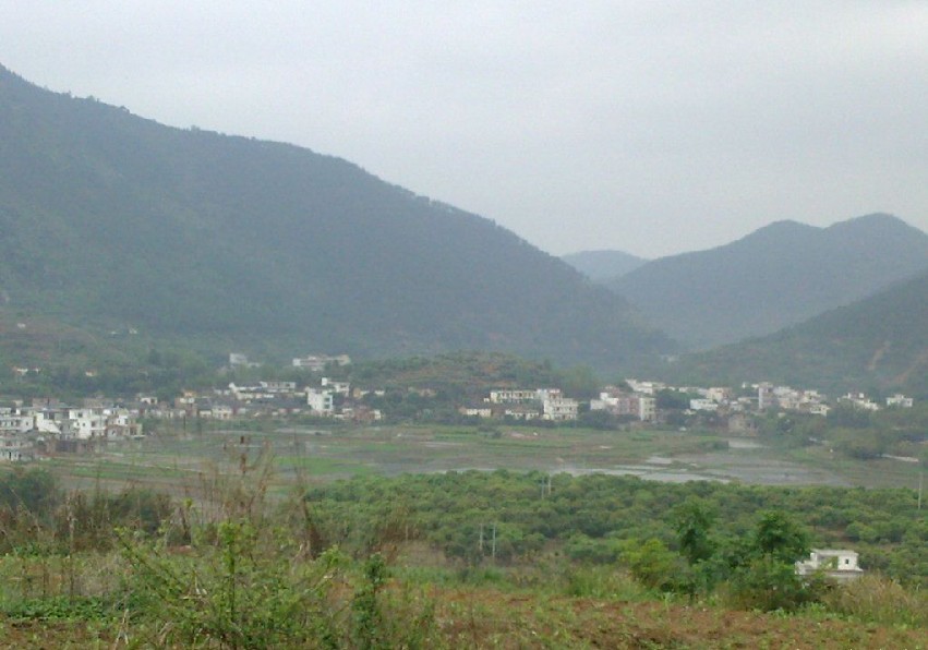 青龙.jpg