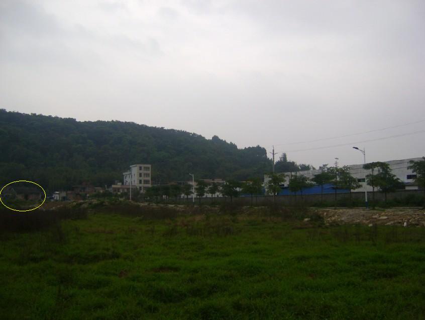青龙.jpg