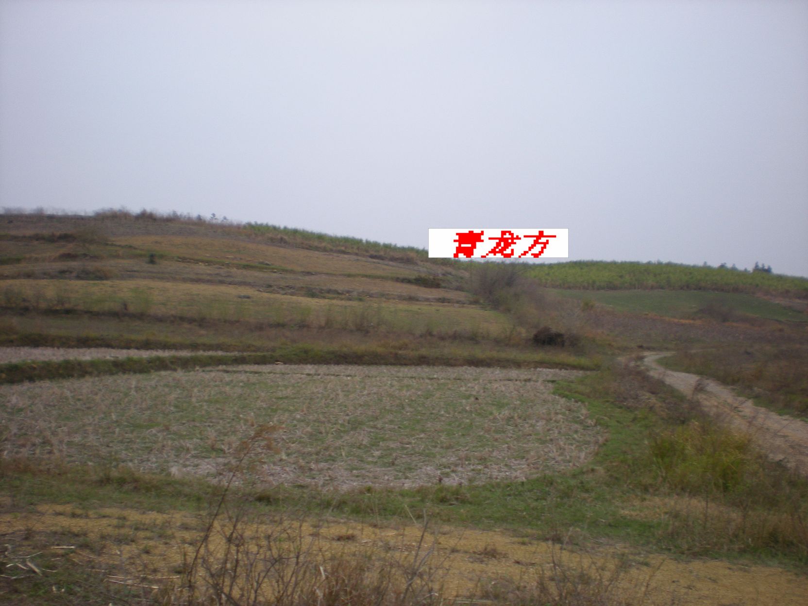 青龙方.jpg