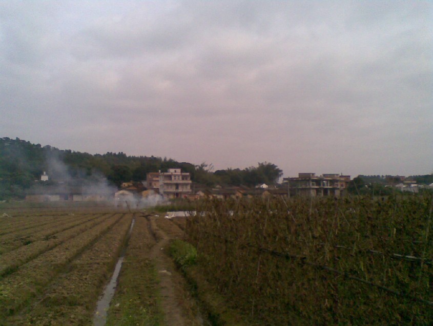 青龙1.jpg