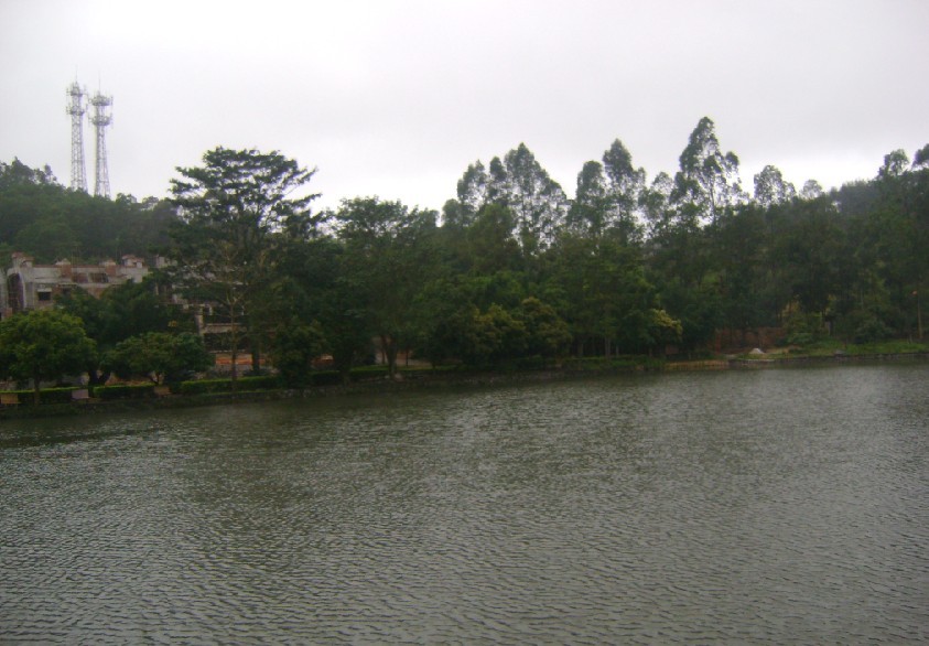 青龙1.jpg