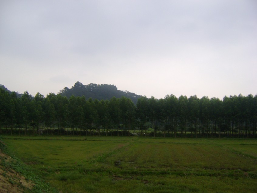 青龙3.jpg