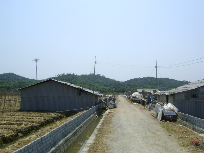 青龙2.jpg