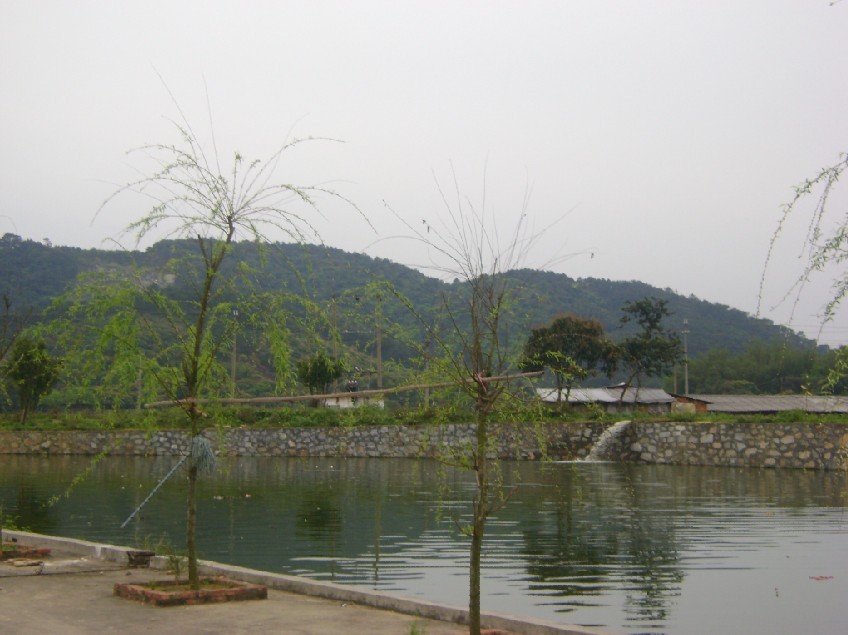 青龙2.jpg