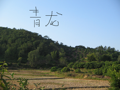 青龙.jpg