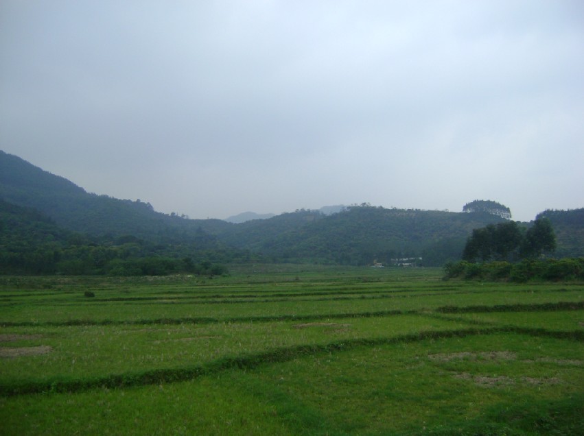 青龙1.jpg