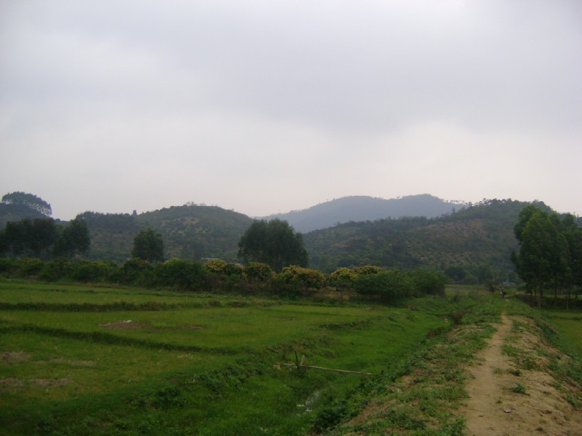 青龙2.jpg