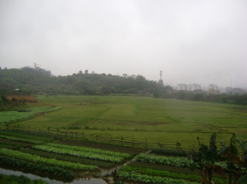 青龙4.jpg
