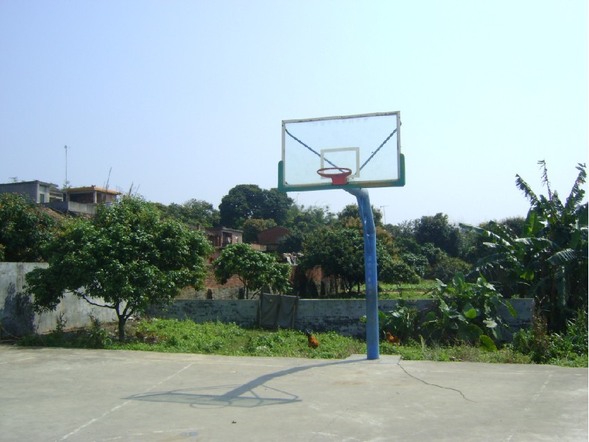青龙2.jpg