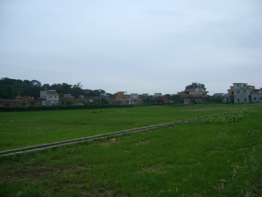 青龙1.jpg