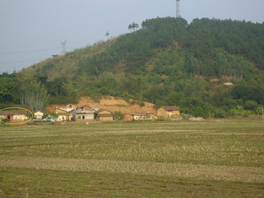 近看寅正针祠堂后山。.jpg