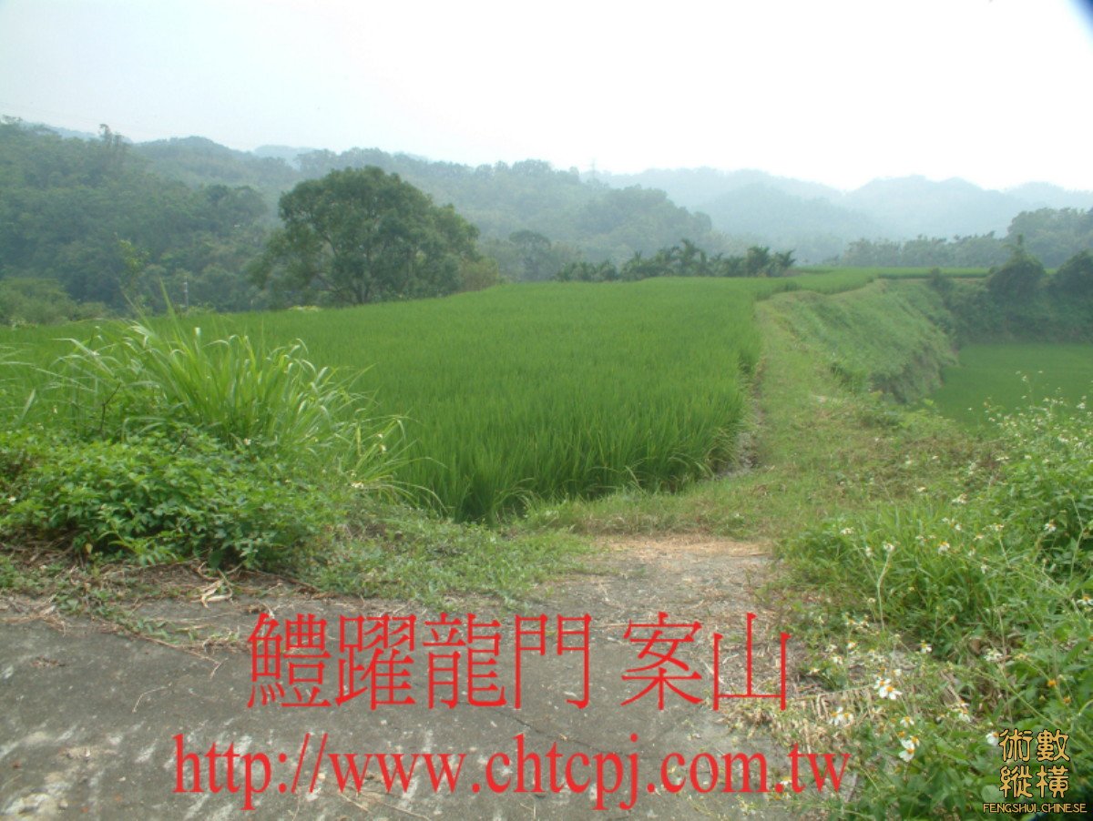 鱧躍龍門穴-A.JPG