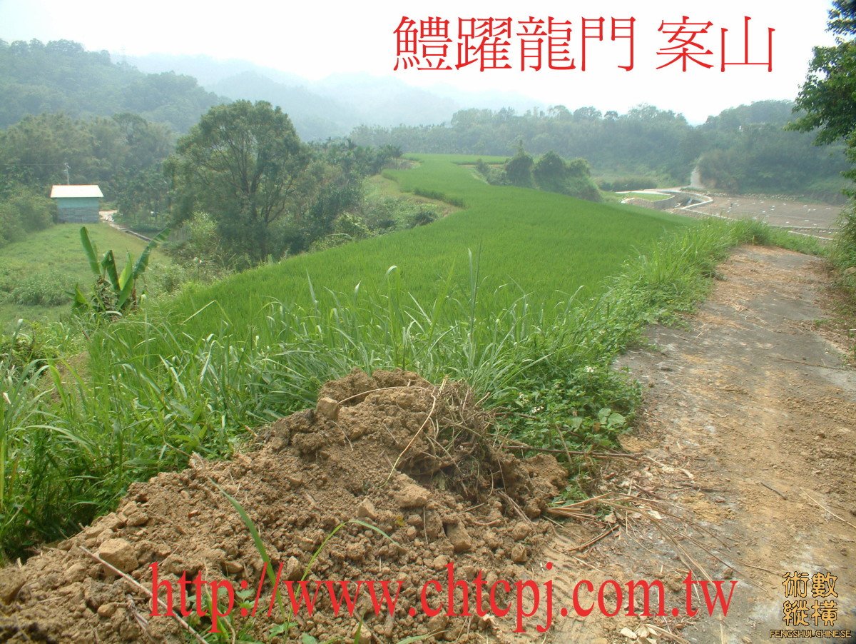 鱧躍龍門穴-B.JPG