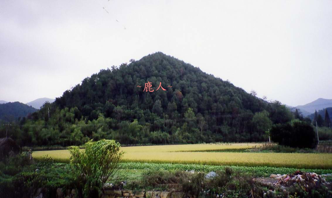 111(C)_11.jpg