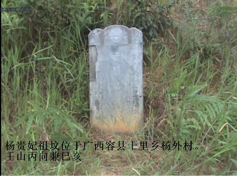 456123.jpg