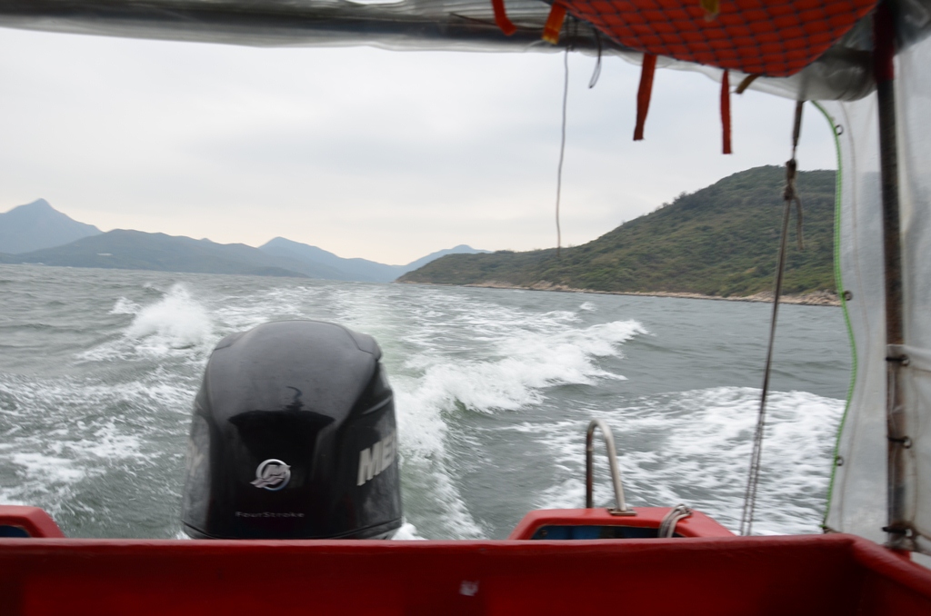 7g2.jpg